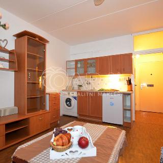 Prodej bytu 1+kk a garsoniéry 20 m² Mariánské Lázně