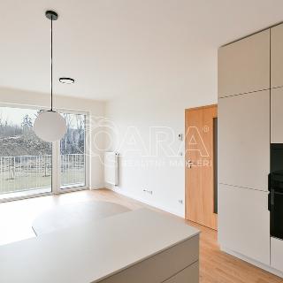 Pronájem bytu 3+kk 73 m² Benešov, 102. pluku