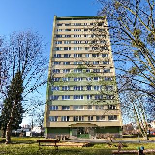 Pronájem bytu 1+1 27 m² Ostrava, Svojsíkova