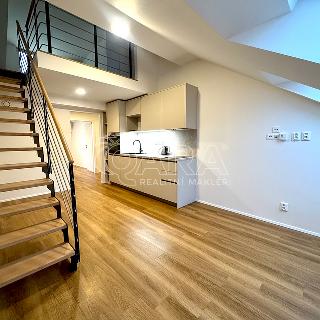 Pronájem bytu 3+kk 55 m² Praha, Staropramenná