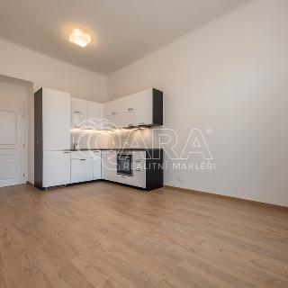 Pronájem bytu 3+kk 72 m² Praha, U milosrdných