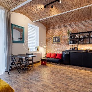 Pronájem bytu 1+kk a garsoniéry 33 m² Praha, Dalimilova