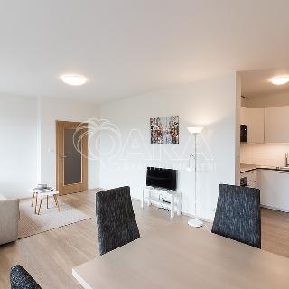 Pronájem bytu 2+kk 62 m² Praha, Kryšpínova