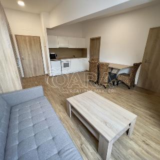 Pronájem bytu 2+kk 38 m² Brno, Křivánkovo náměstí