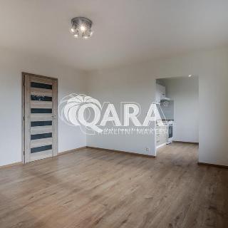 Prodej bytu 1+1 40 m² Praha, Minická