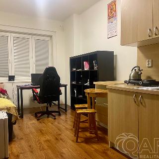 Pronájem bytu 1+kk a garsoniéry 16 m² Praha, Na Petynce