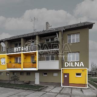 Prodej bytu 4+1 92 m² Oráčov