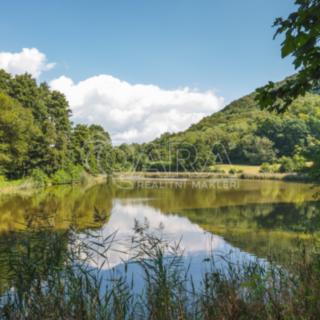 Prodej vodní plochy 399 465 m² Vojkovice