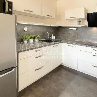 Pronájem bytu 1+kk a garsoniéry 35 m² Klecany, V Honech