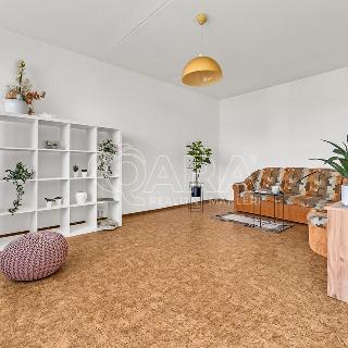 Prodej bytu 1+1 48 m² Praha, Imrychova