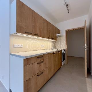 Pronájem bytu 2+1 52 m² Brno, Výletní