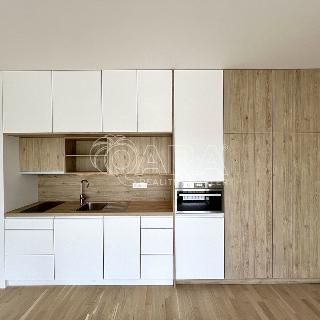 Pronájem bytu 1+kk a garsoniéry 37 m² Praha, V náklích