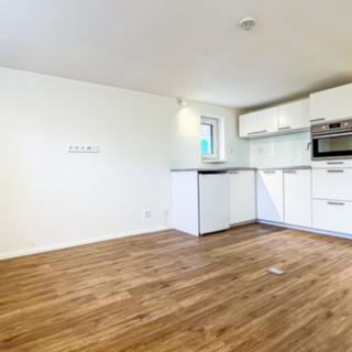 Pronájem bytu 1+1 30 m² Praha