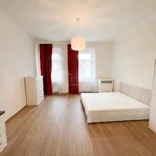 Pronájem bytu 2+kk 66 m² Praha, Budějovická