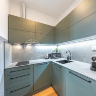 Pronájem bytu 1+kk a garsoniéry 33 m² Praha Žižkov, Milíčova
