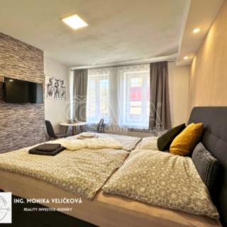 Prodej ostatního komerčního prostoru 30 m² Zlaté Hory, Kostelní
