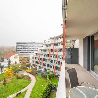 Pronájem bytu 3+kk 86 m² Praha, Vojenova