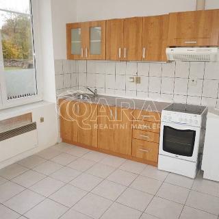 Prodej bytu 1+1 33 m² Rybník