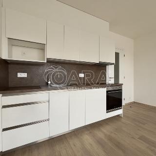 Pronájem bytu 1+kk a garsoniéry 34 m² Brno, Jižní