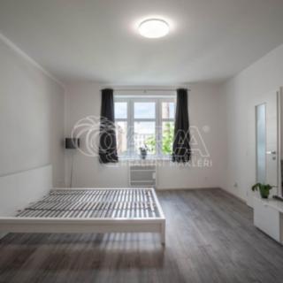 Pronájem bytu 1+1 37 m² Praha, Na Maninách