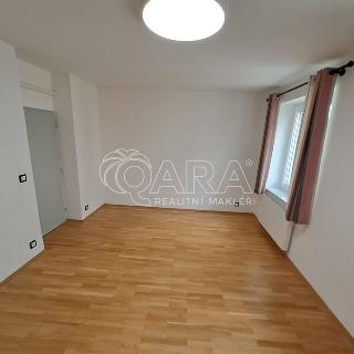 Pronájem ostatního komerčního prostoru 18 m² Praha, Rybalkova