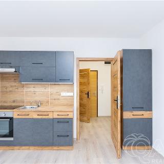 Pronájem bytu 1+kk a garsoniéry 29 m² Tábor, Havanská