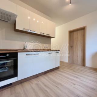 Pronájem bytu 1+1 30 m² Brno, Černého