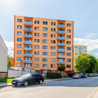 Pronájem bytu 3+1 65 m² České Budějovice, L. M. Pařízka