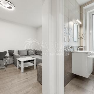 Prodej bytu 1+1 21 m² Praha, Lidická