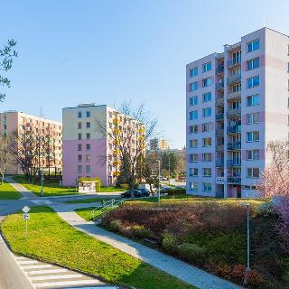 Pronájem bytu 1+kk a garsoniéry 23 m² Prachatice, nám. Přátelství