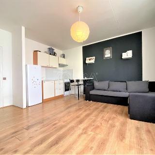 Pronájem bytu 1+kk a garsoniéry 32 m², Oblá