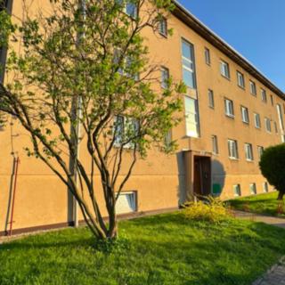 Pronájem bytu 3+1 58 m² Kladno