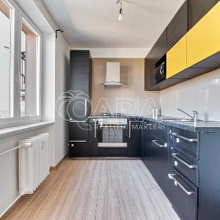 Pronájem bytu 3+kk 58 m² Ostrava, Svojsíkova