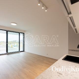 Pronájem bytu 1+kk a garsoniéry 40 m² Praha, Šrámkové