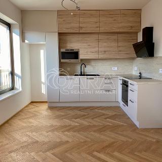 Pronájem bytu 2+kk 50 m² Tábor, Bechyňská