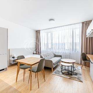 Pronájem bytu 1+kk a garsoniéry 33 m² Praha, Pobřežní