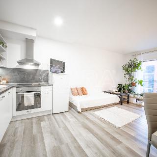 Pronájem bytu 1+kk a garsoniéry 40 m² Brno, Spolková