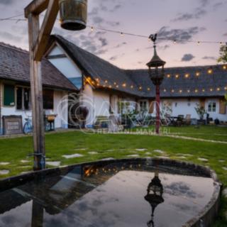 Prodej hotelu, penzionu 588 m&sup2; Brod nad Dyjí