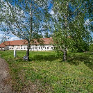 Prodej stavební parcely 1 009 m² Dolní Chvatliny, Mančice