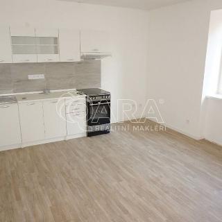 Pronájem bytu 1+1 63 m² Letovice, V domkách