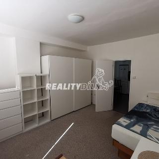 Pronájem bytu 3+1 91 m² Praha, V dolině