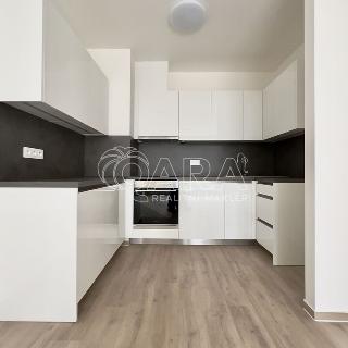 Pronájem bytu 2+kk 61 m² Brno