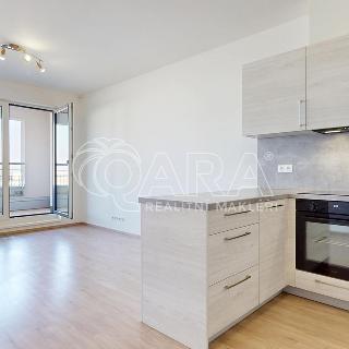 Pronájem bytu 2+kk 47 m² Praha, Na domovině