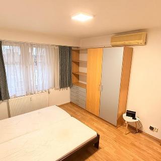 Pronájem bytu 3+kk 60 m² Praha, Dalimilova