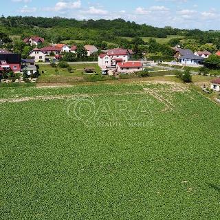 Prodej stavební parcely 7754 m² Dobrovice