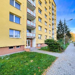 Pronájem bytu 2+1 54 m² Vyškov, Letní