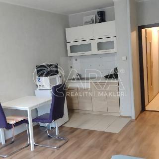 Prodej bytu 1+kk a garsoniéry 29 m² Praha, Rochovská