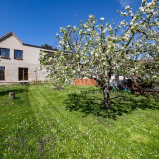 Prodej rodinného domu 290 m² Tachlovice, Olivová