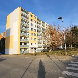 Prodej bytu 2+kk 43 m² Čelákovice, Stankovského