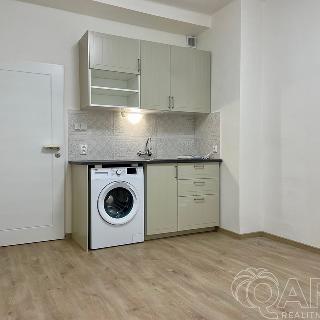 Pronájem bytu 1+kk a garsoniéry 15 m² Praha, Na Petynce